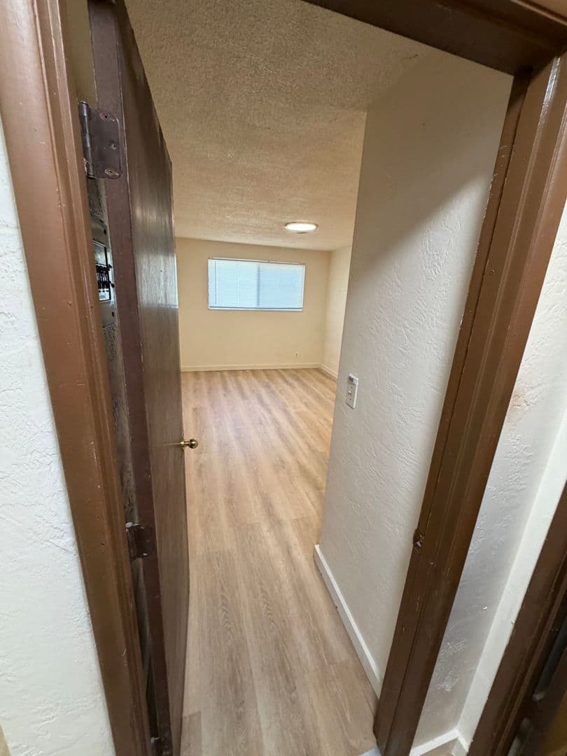 Eugene Apartment: 555 Tyler Street