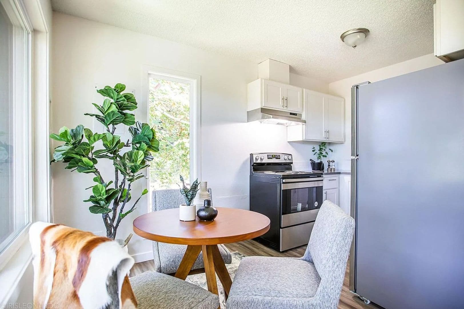 Oregon City Apartment: 911 15th Street