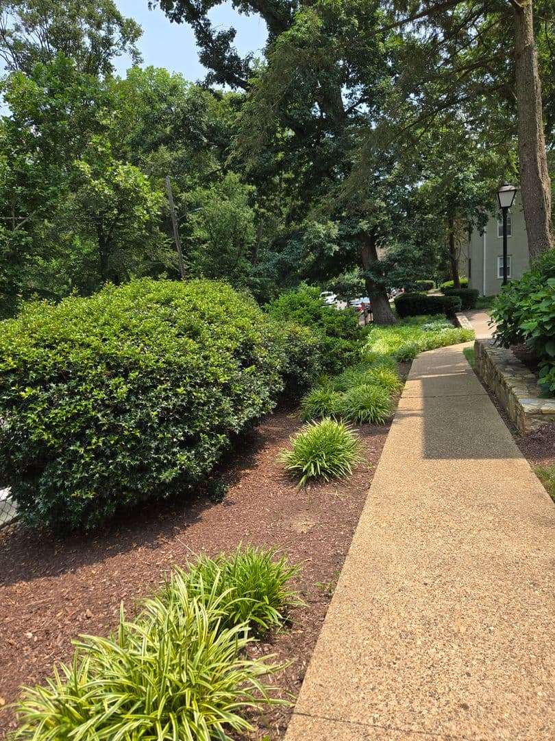 Arlington Condo: 808 S Arlington Mill #303