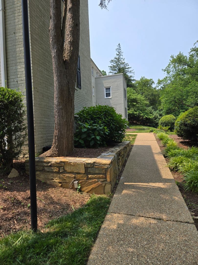 Arlington Condo: 808 S Arlington Mill #303