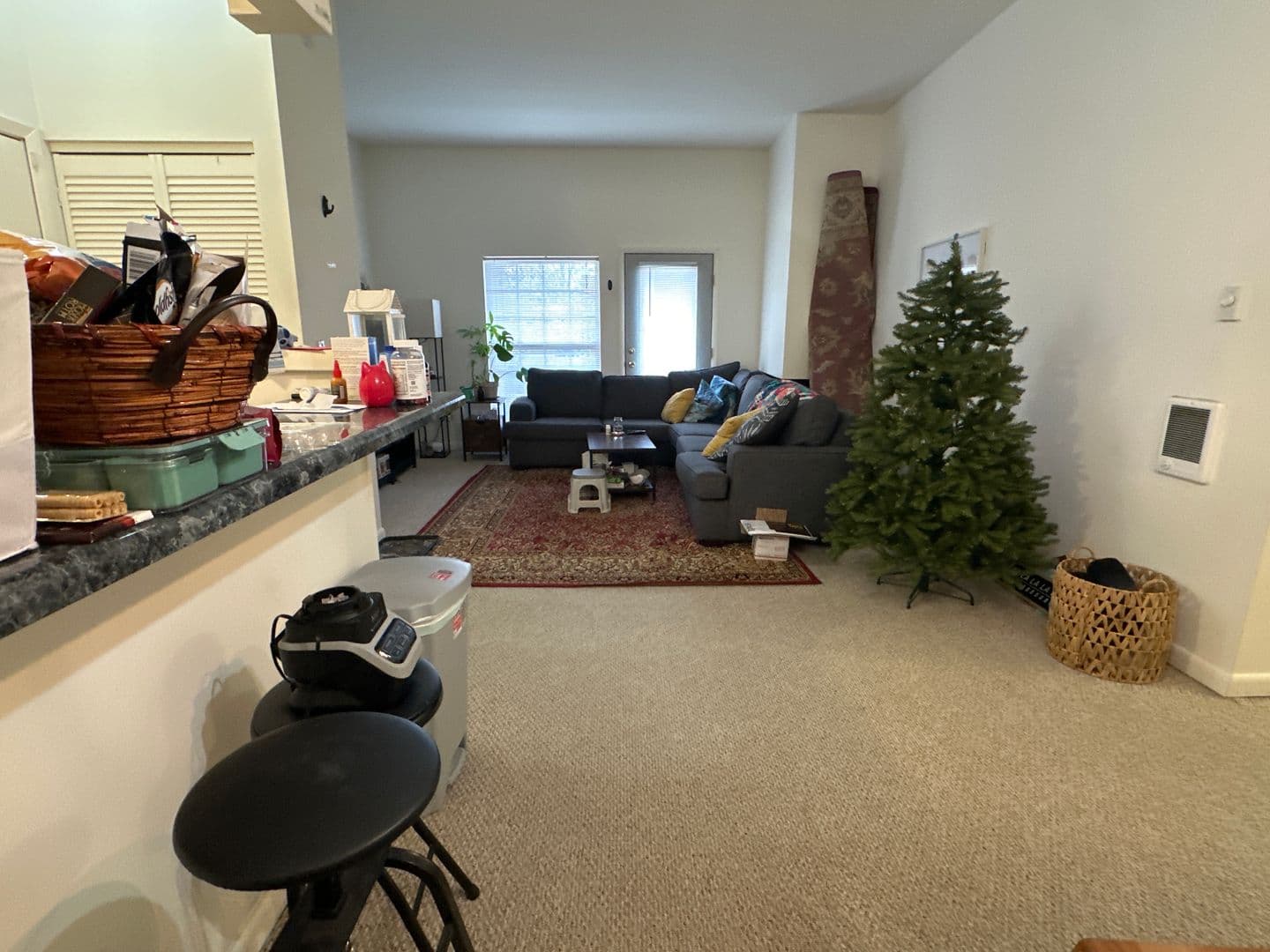 Ithaca Apartment: 87 Uptown Rd