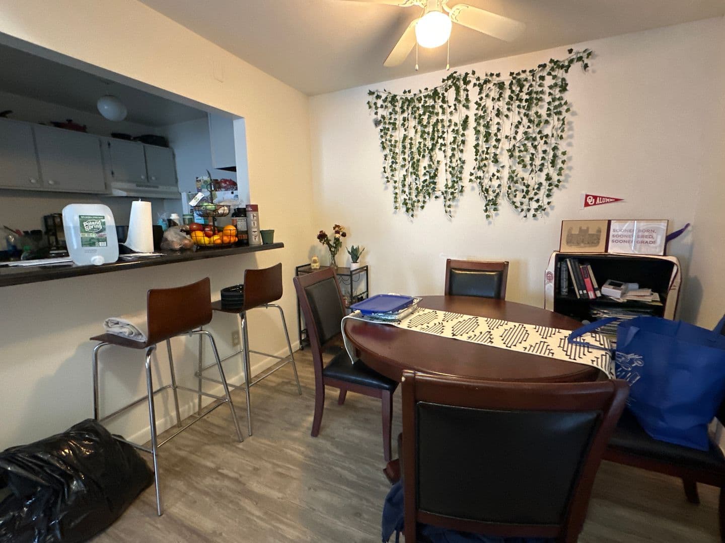 Ithaca Apartment: 87 Uptown Rd