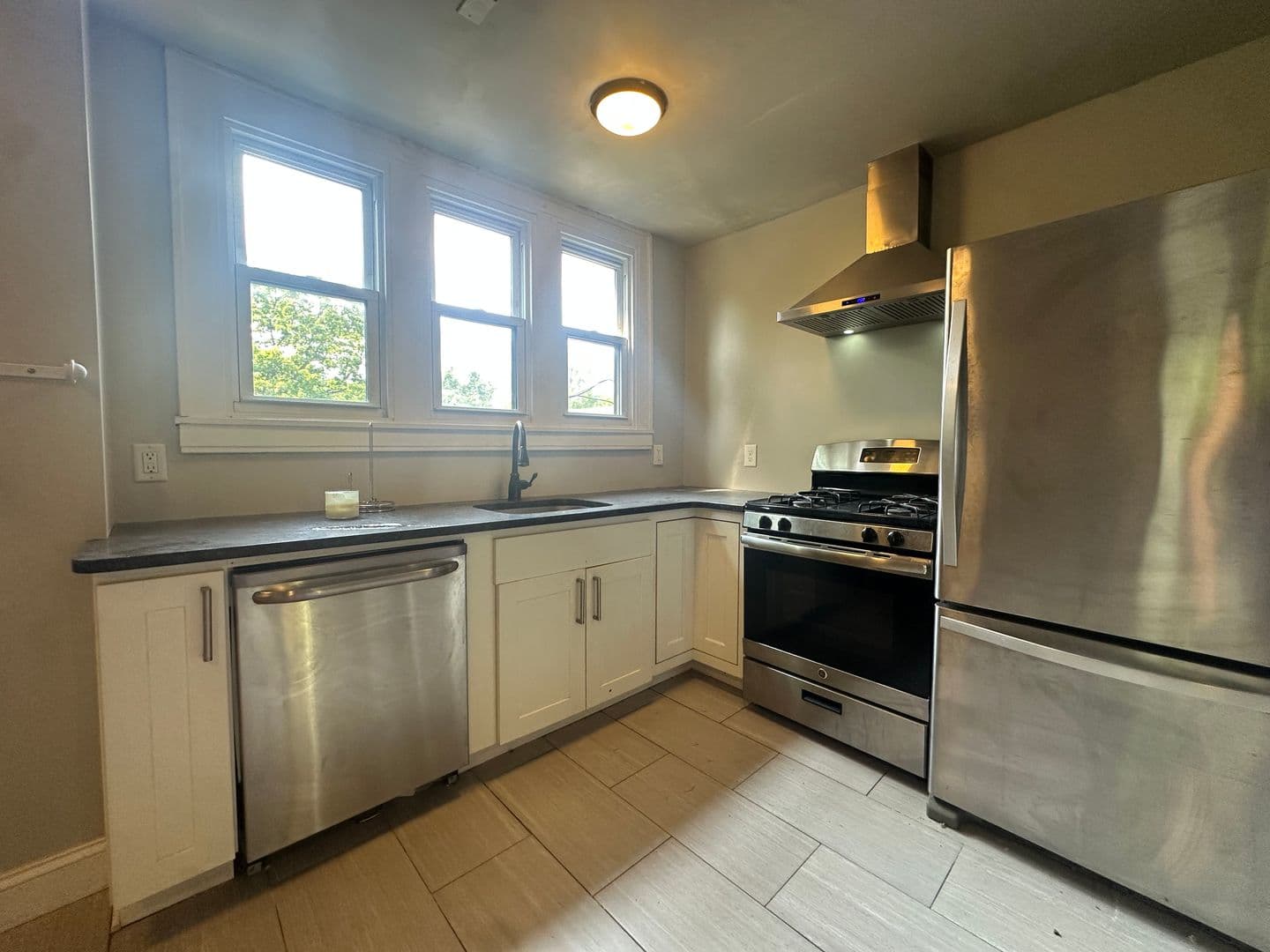 Ithaca Apartment: 106-112 S Quarry st