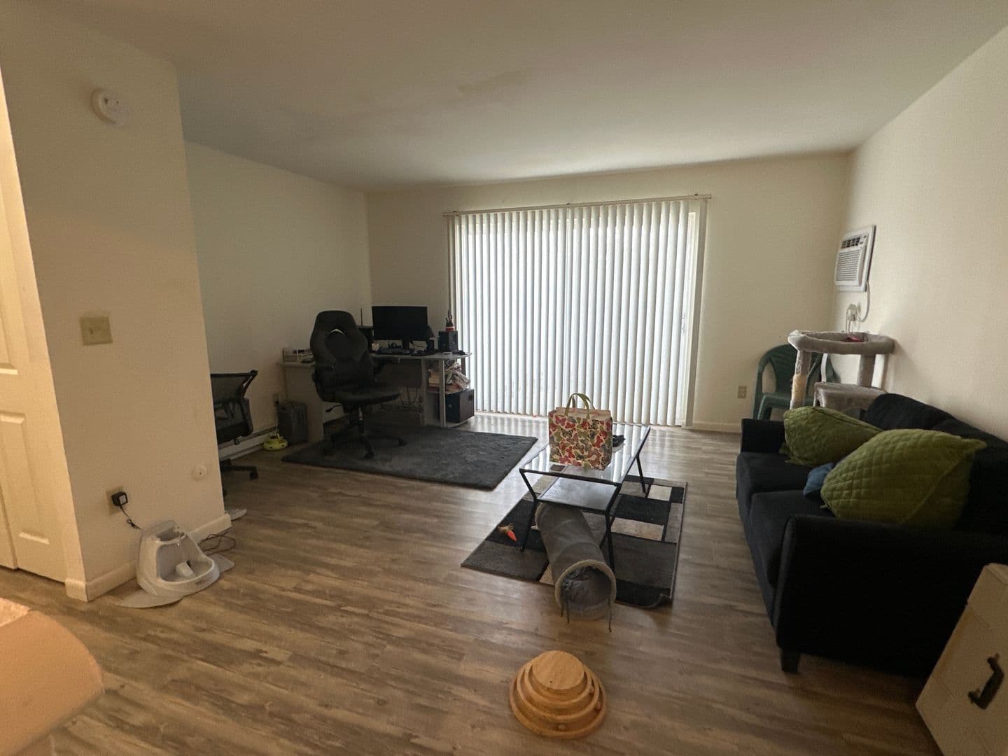 Ithaca Apartment: 87 Uptown Rd
