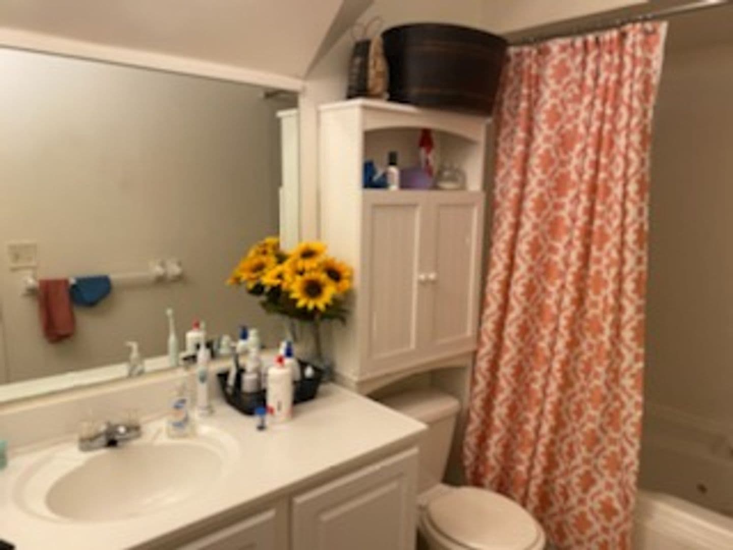 Ithaca Apartment: 87 Uptown Rd