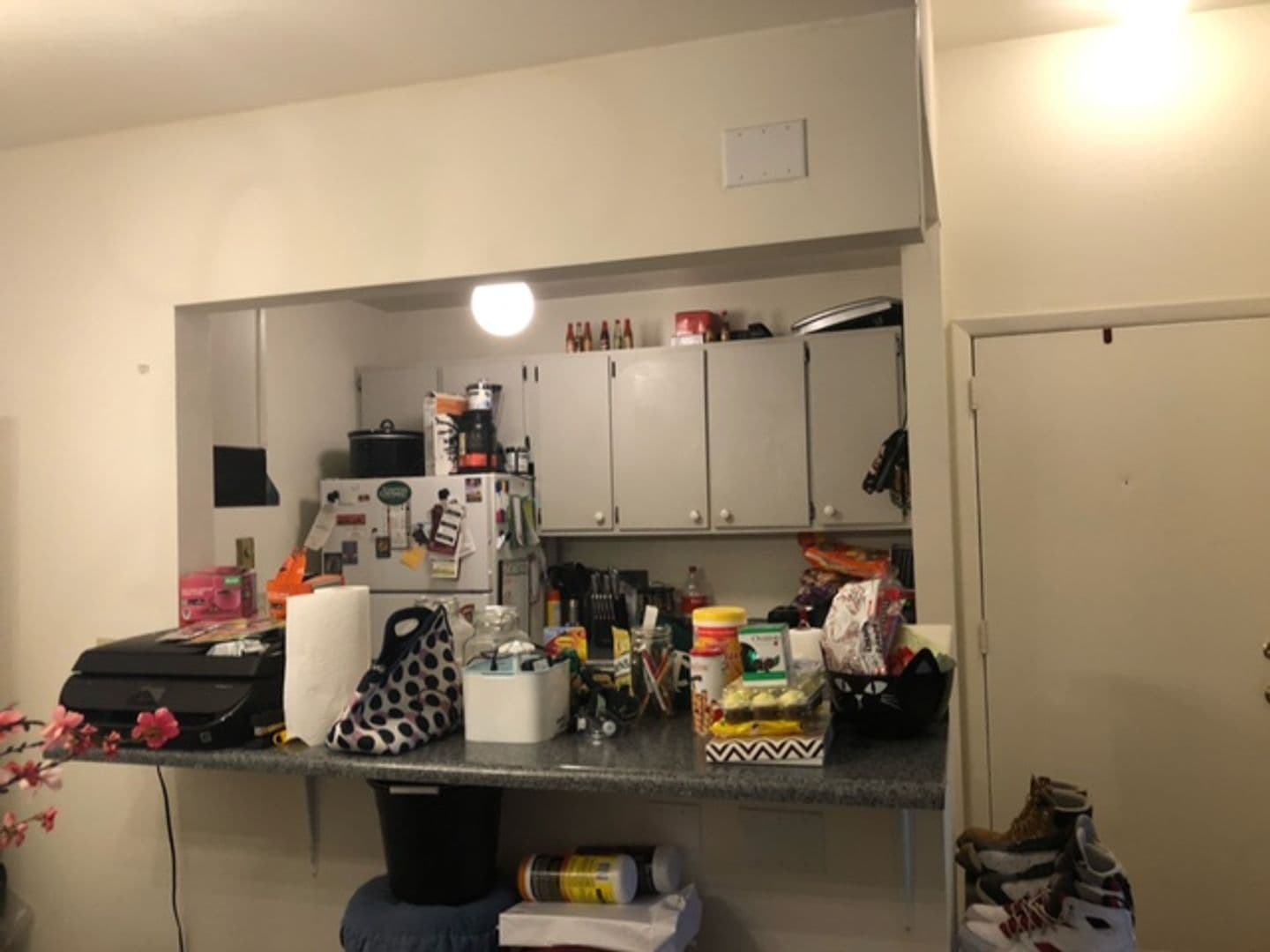 Ithaca Apartment: 87 Uptown Rd