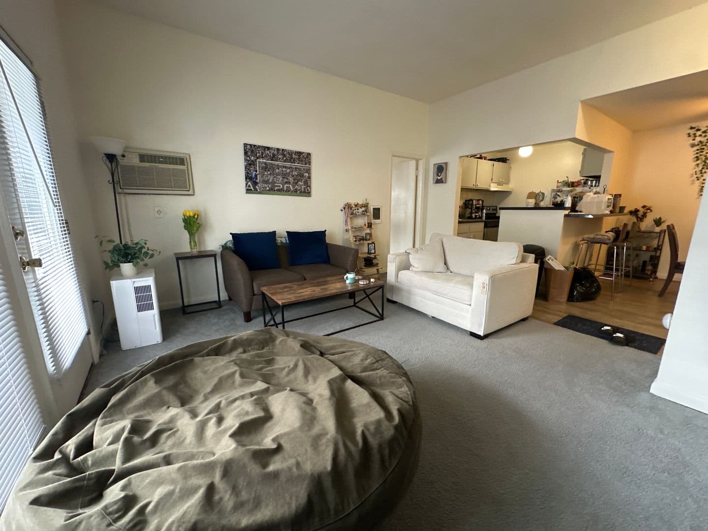 Ithaca Apartment: 87 Uptown Rd