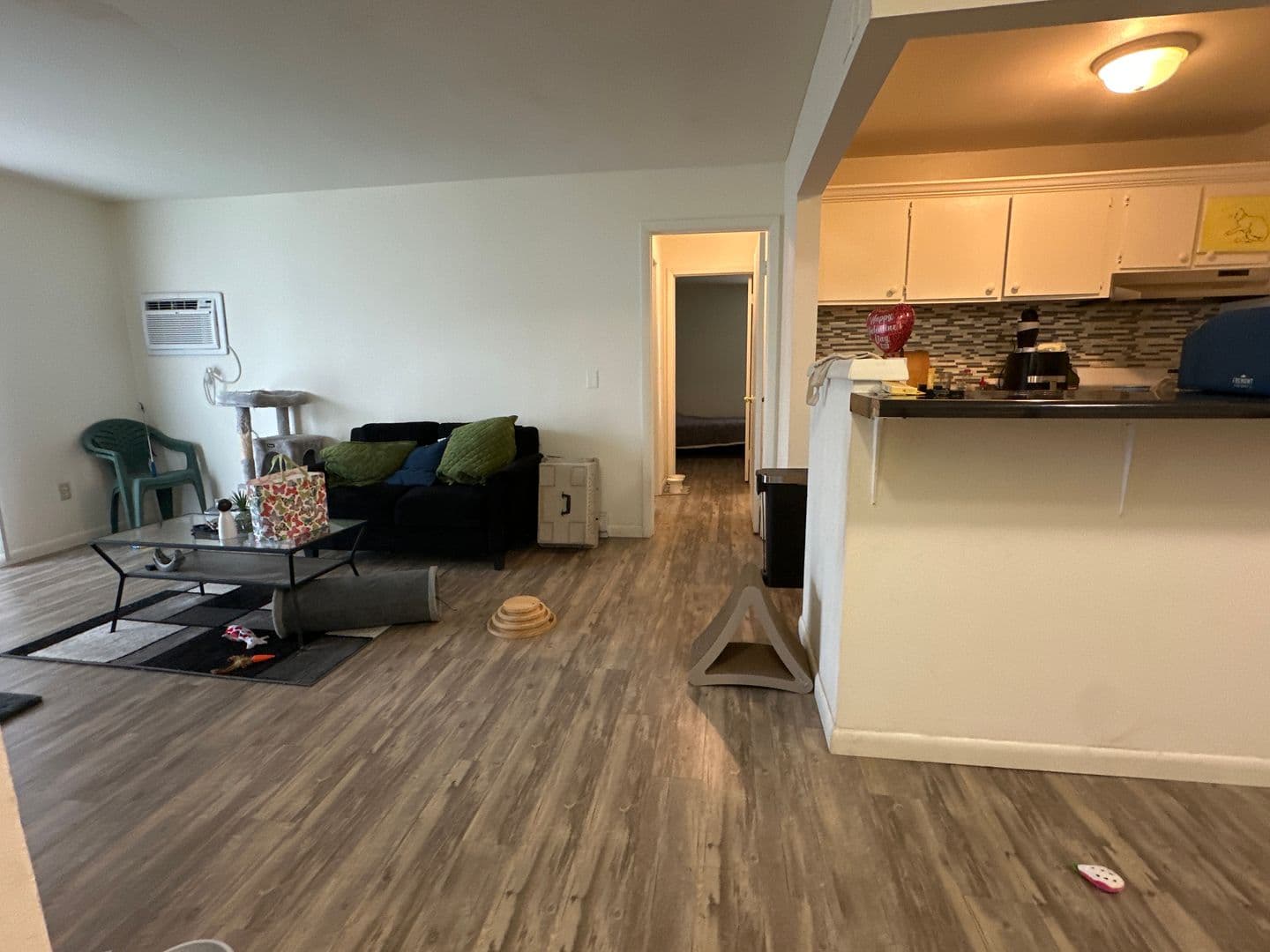 Ithaca Apartment: 87 Uptown Rd