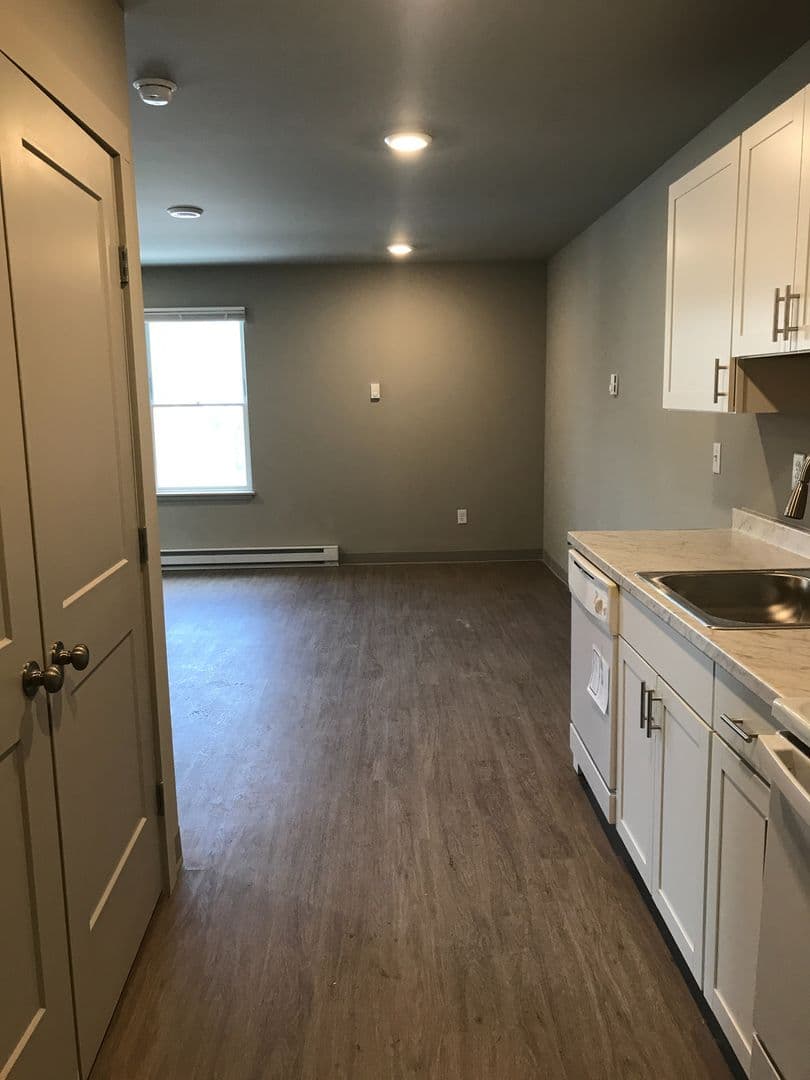 Ithaca Apartment: 327 West Seneca Street