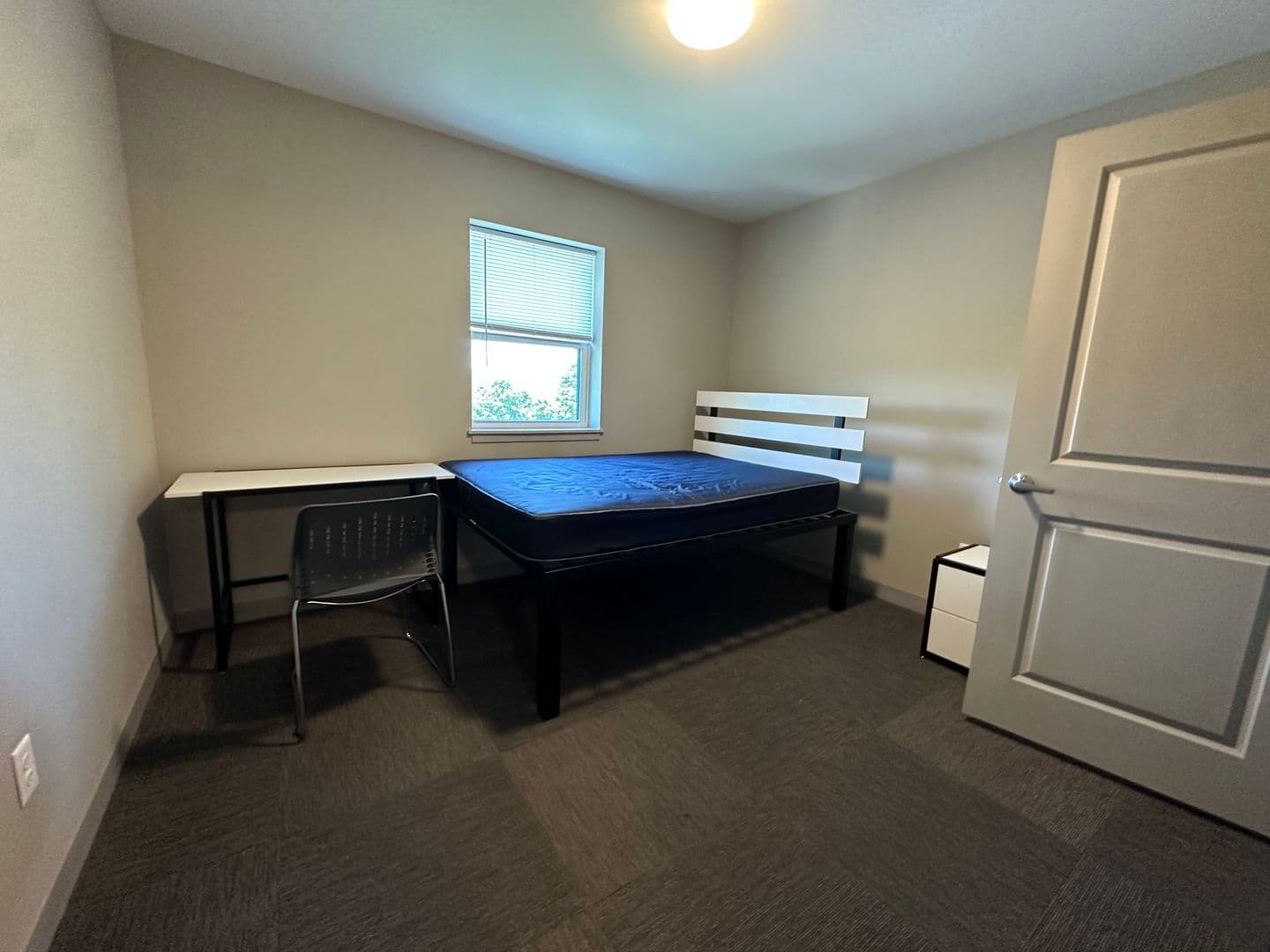 Ithaca Apartment: 126 College Ave