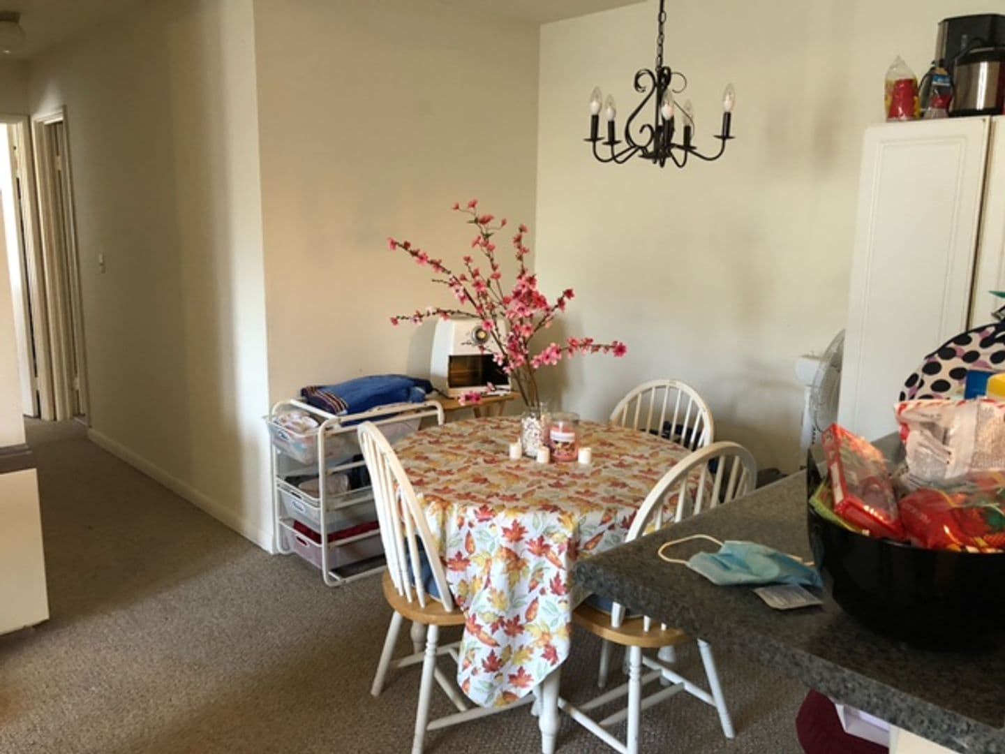 Ithaca Apartment: 87 Uptown Rd