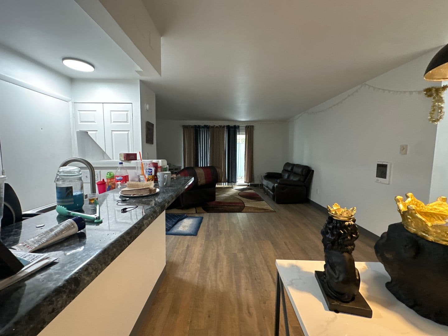 Ithaca Apartment: 87 Uptown Rd