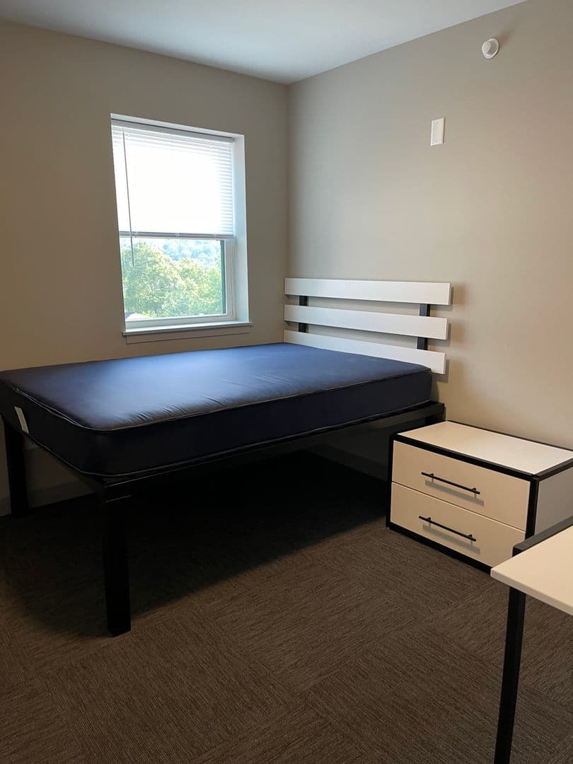 Ithaca Apartment: 126 College Ave