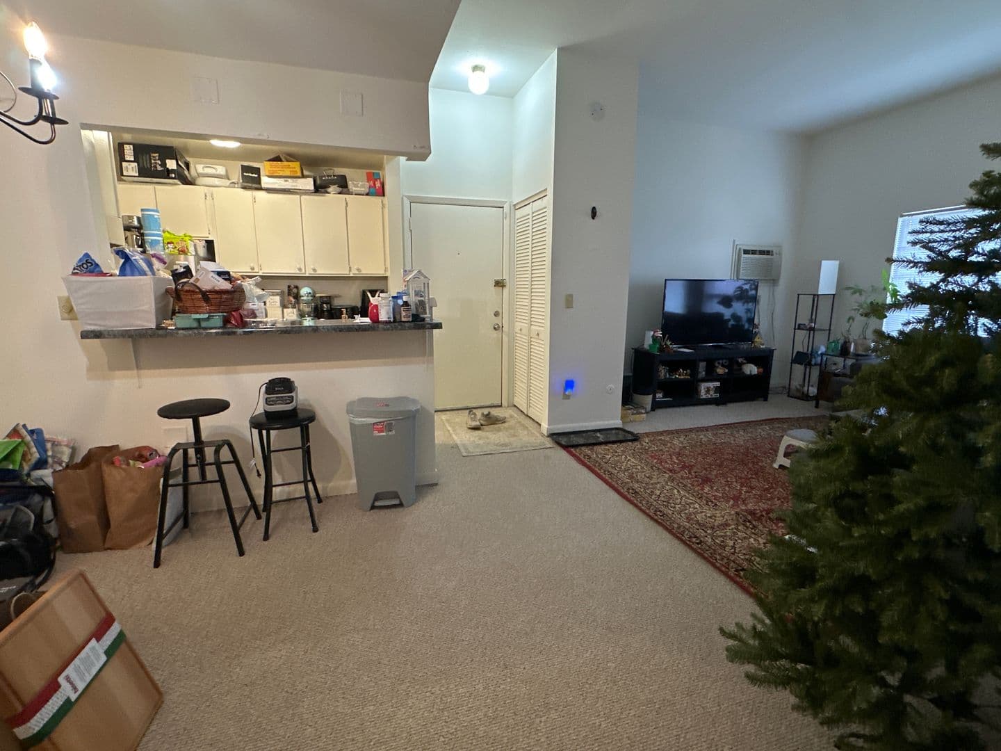 Ithaca Apartment: 87 Uptown Rd