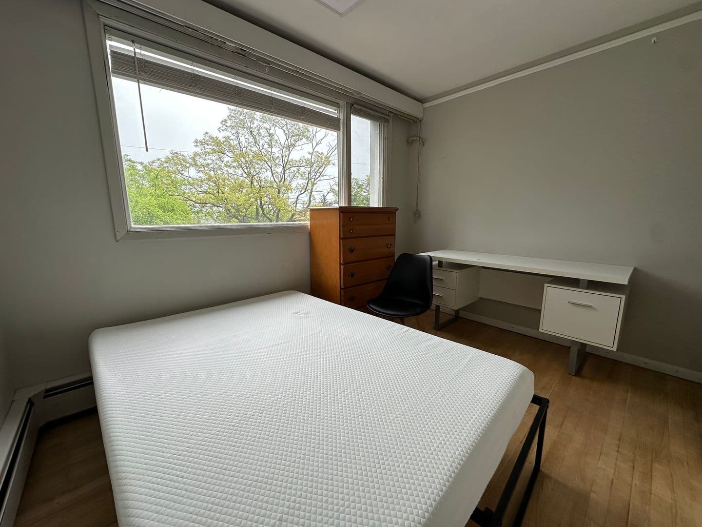 Ithaca Apartment: 702 Hudson St
