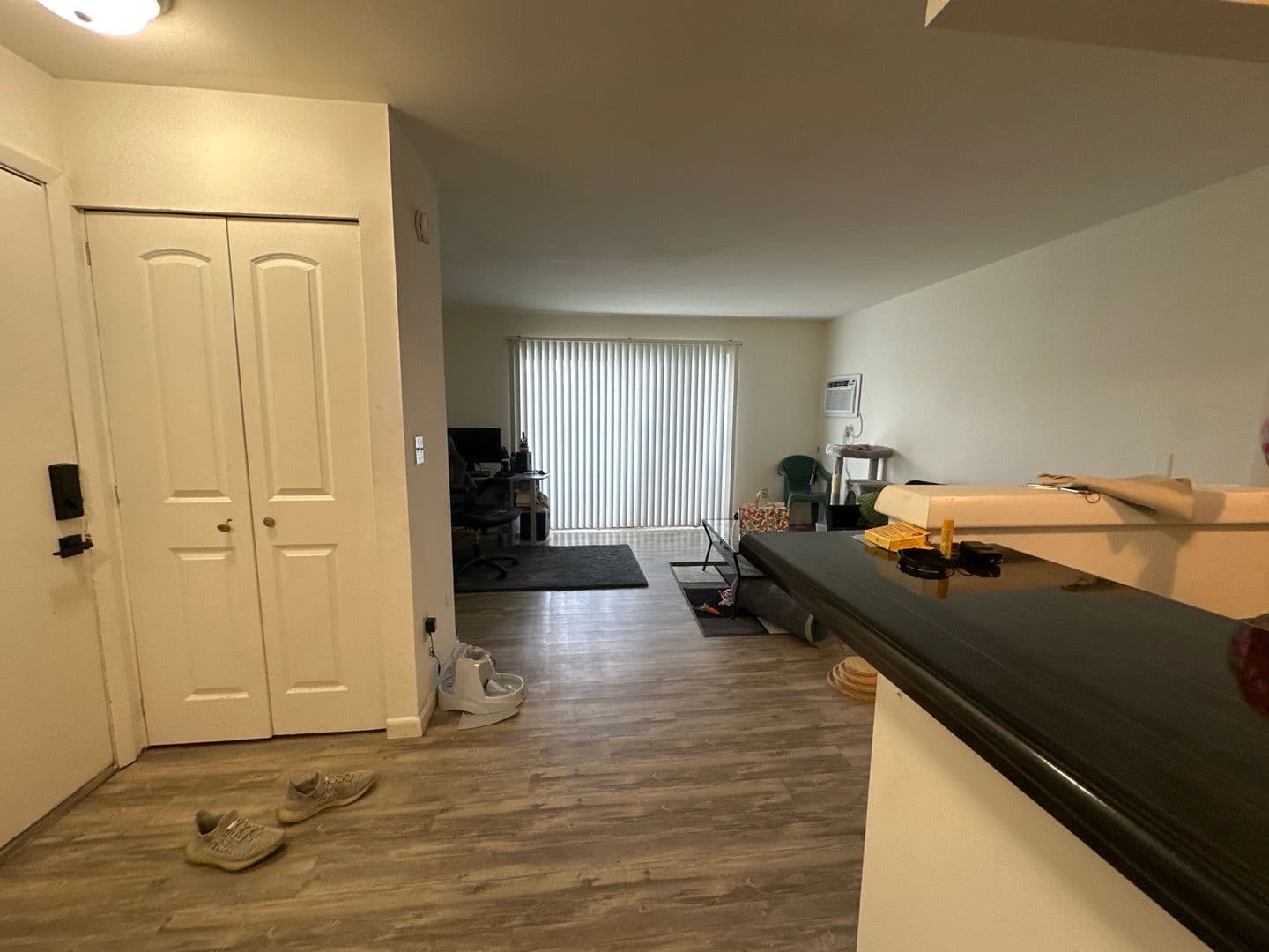 Ithaca Apartment: 87 Uptown Rd