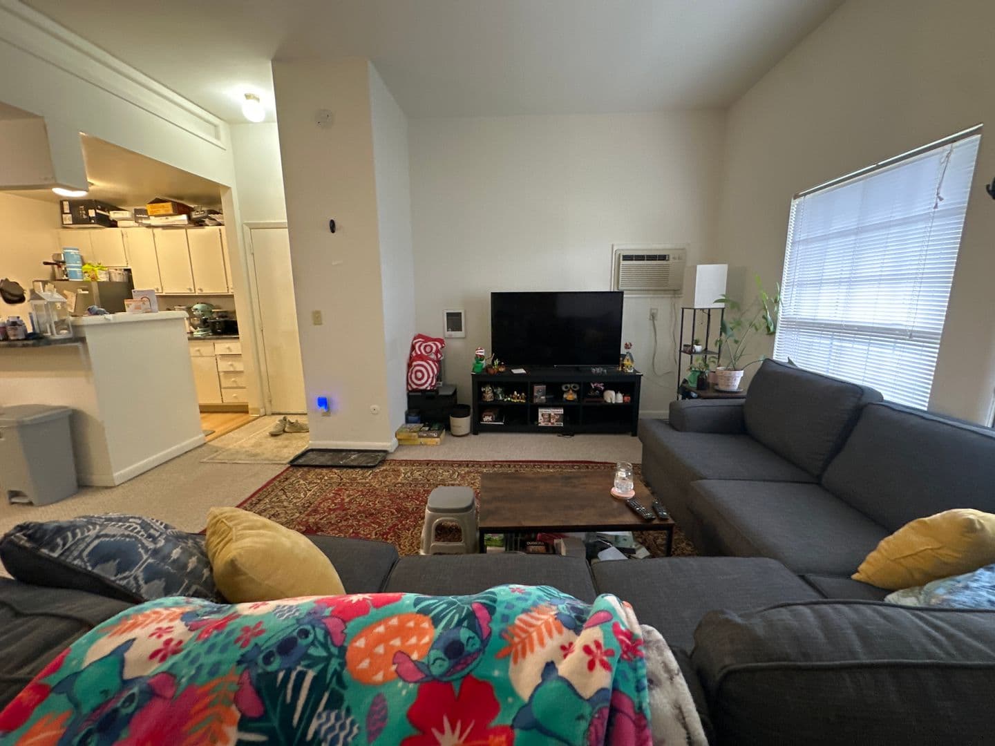 Ithaca Apartment: 87 Uptown Rd