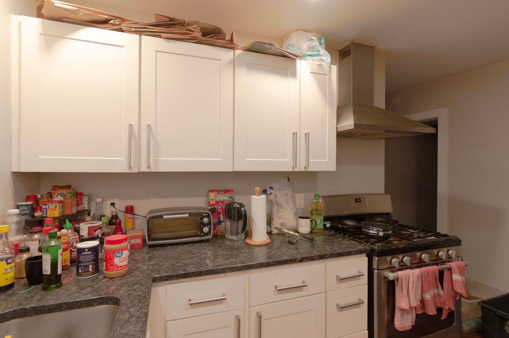 Ithaca Apartment: 106-112 S Quarry st