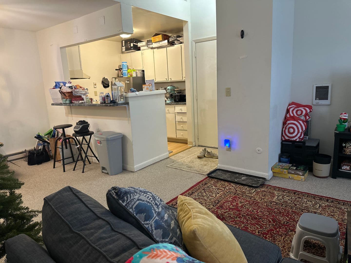 Ithaca Apartment: 87 Uptown Rd