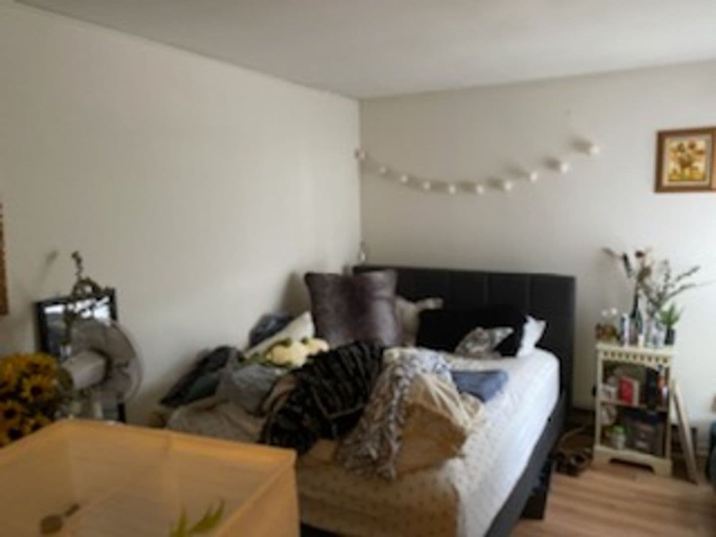 Ithaca Apartment: 87 Uptown Rd