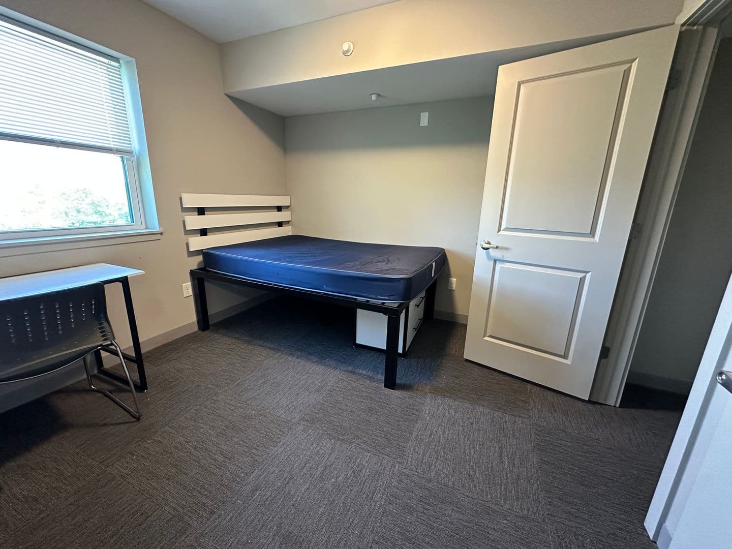 Ithaca Apartment: 126 College Ave