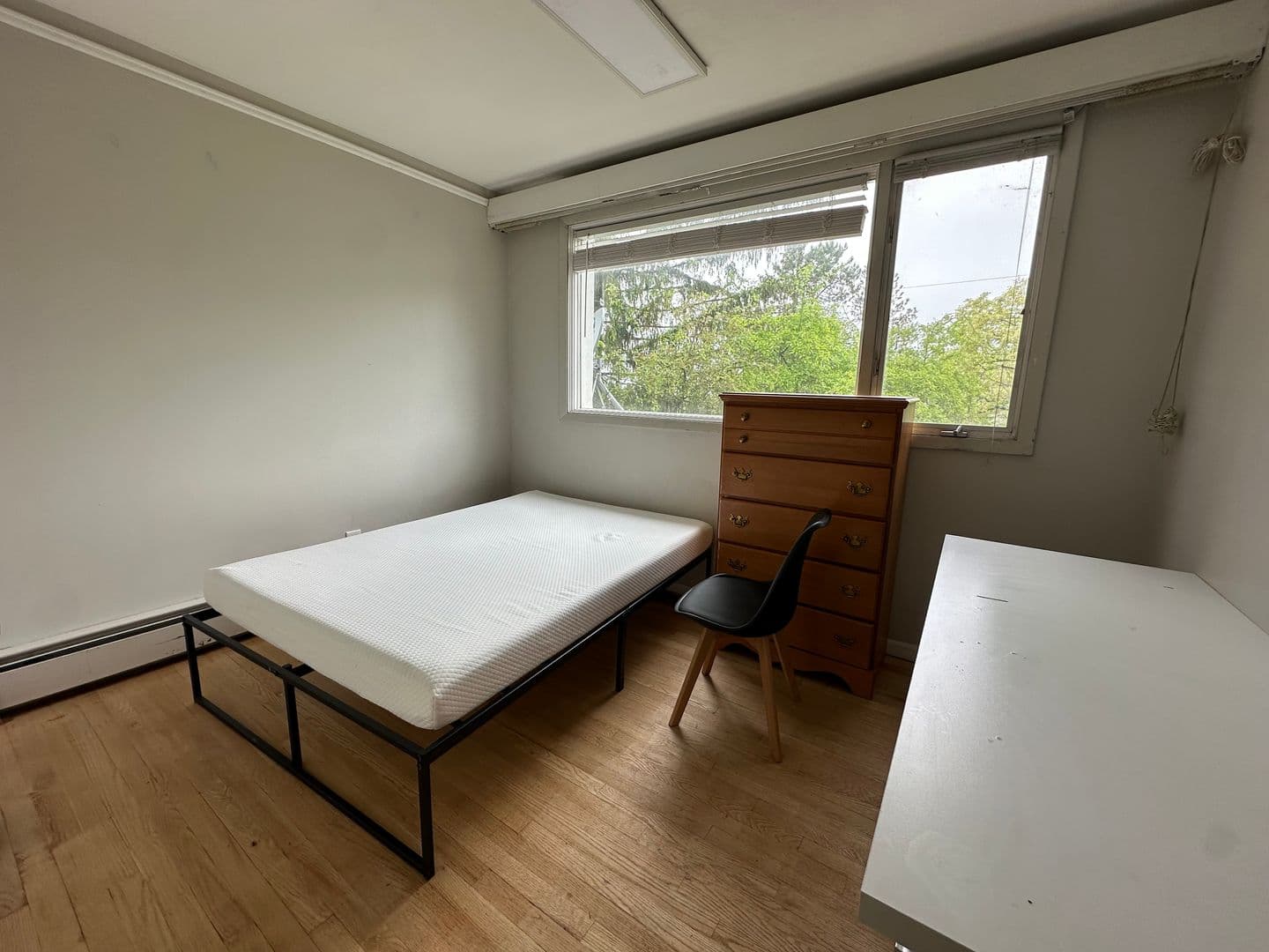 Ithaca Apartment: 702 Hudson St