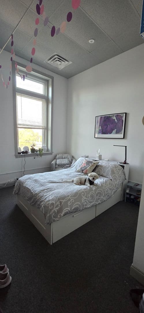 Washington Apartment: 37-39 Belvidere Avenue