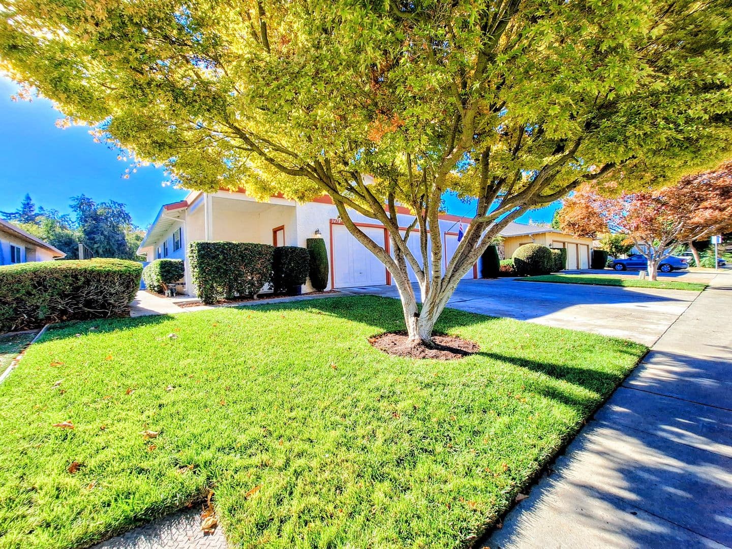 Santa Clara Apartment: 3478 & 3482 Angelina Dr