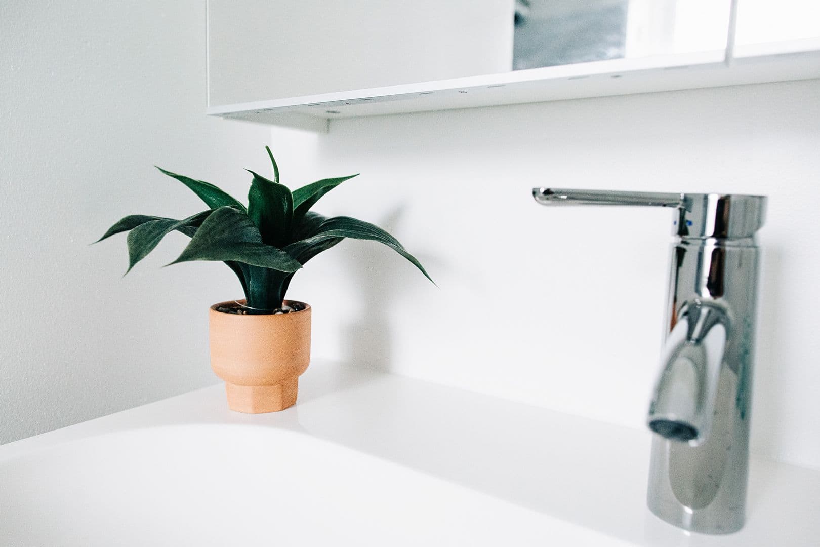 Madison Apartment: 723 Jenifer Street