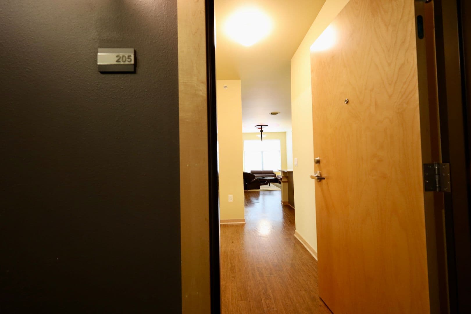 Madison Apartment: 525 East Main Street