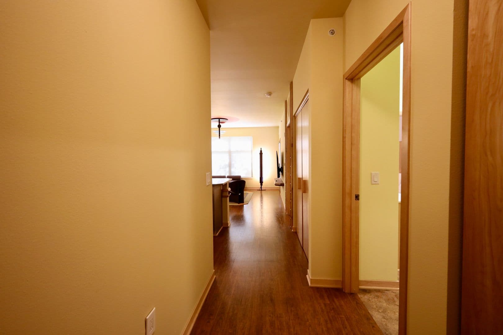 Madison Apartment: 525 East Main Street