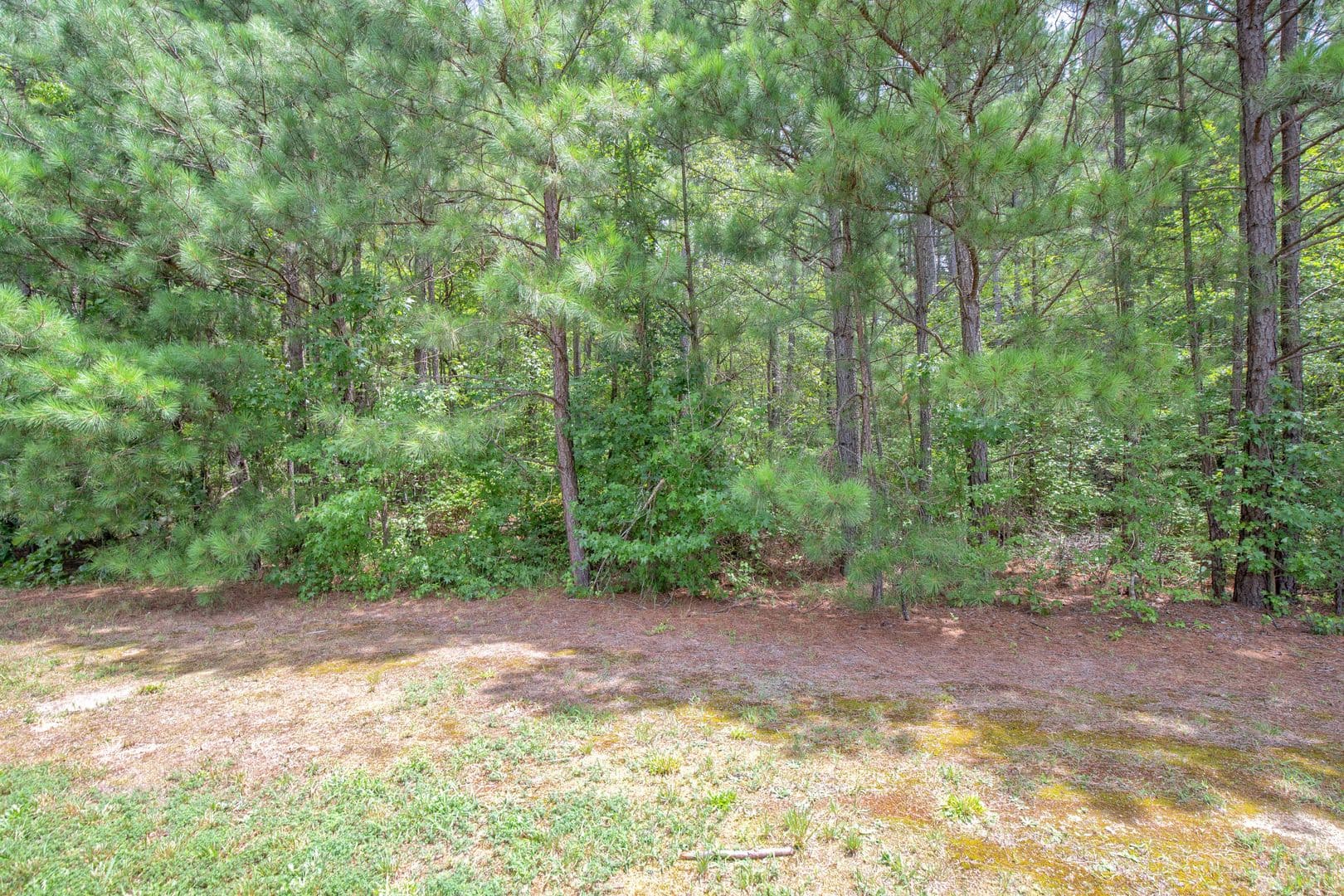 Chester House: 12807 Chester Grove Drive