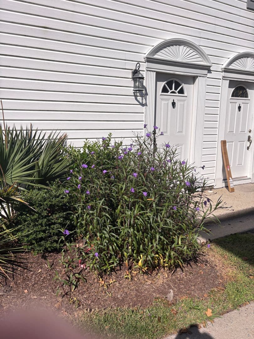 Virginia Beach Condo: 4422 Segovia Court