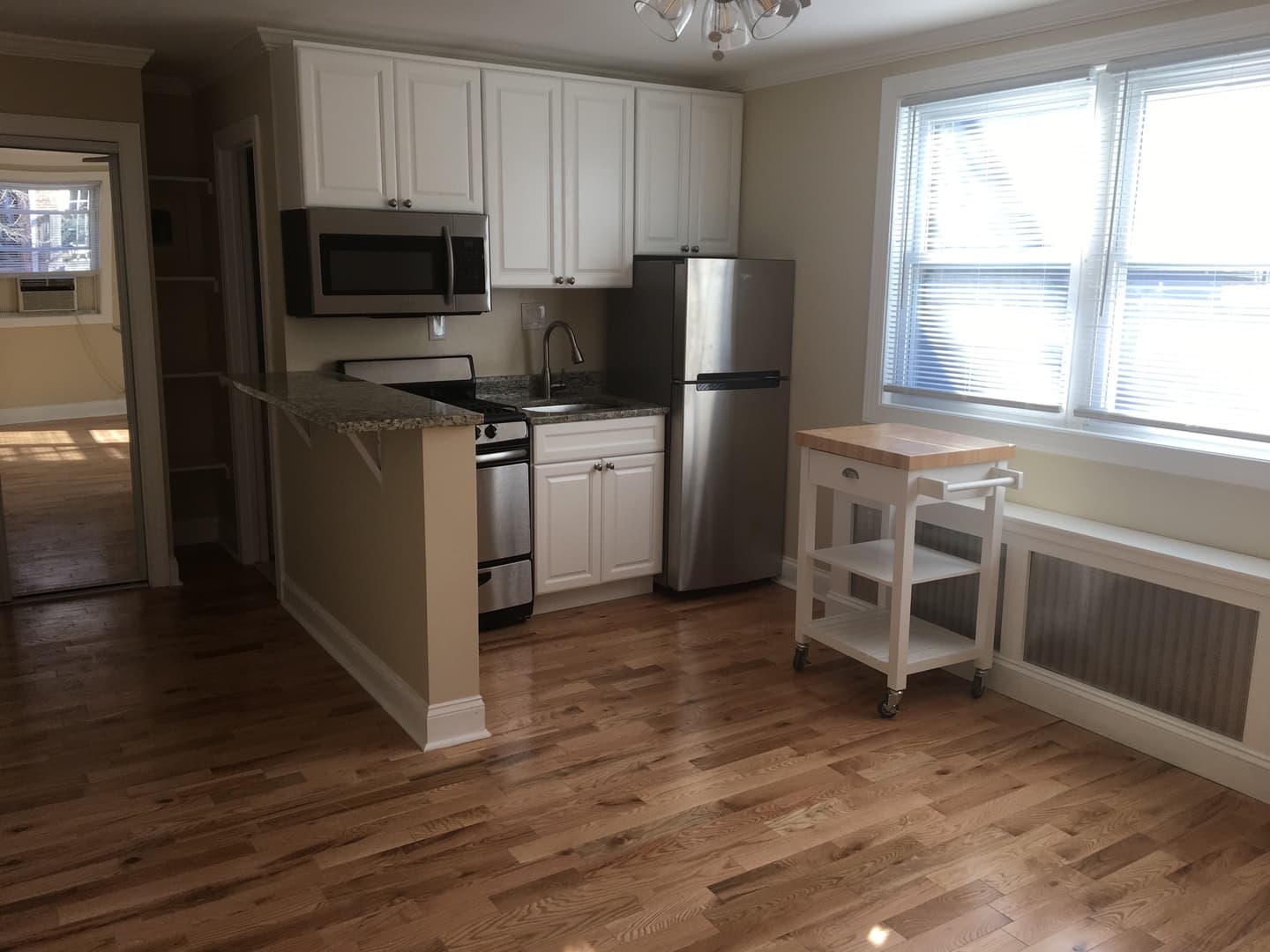 Washington Apartment: 1815 Riggs Place NW