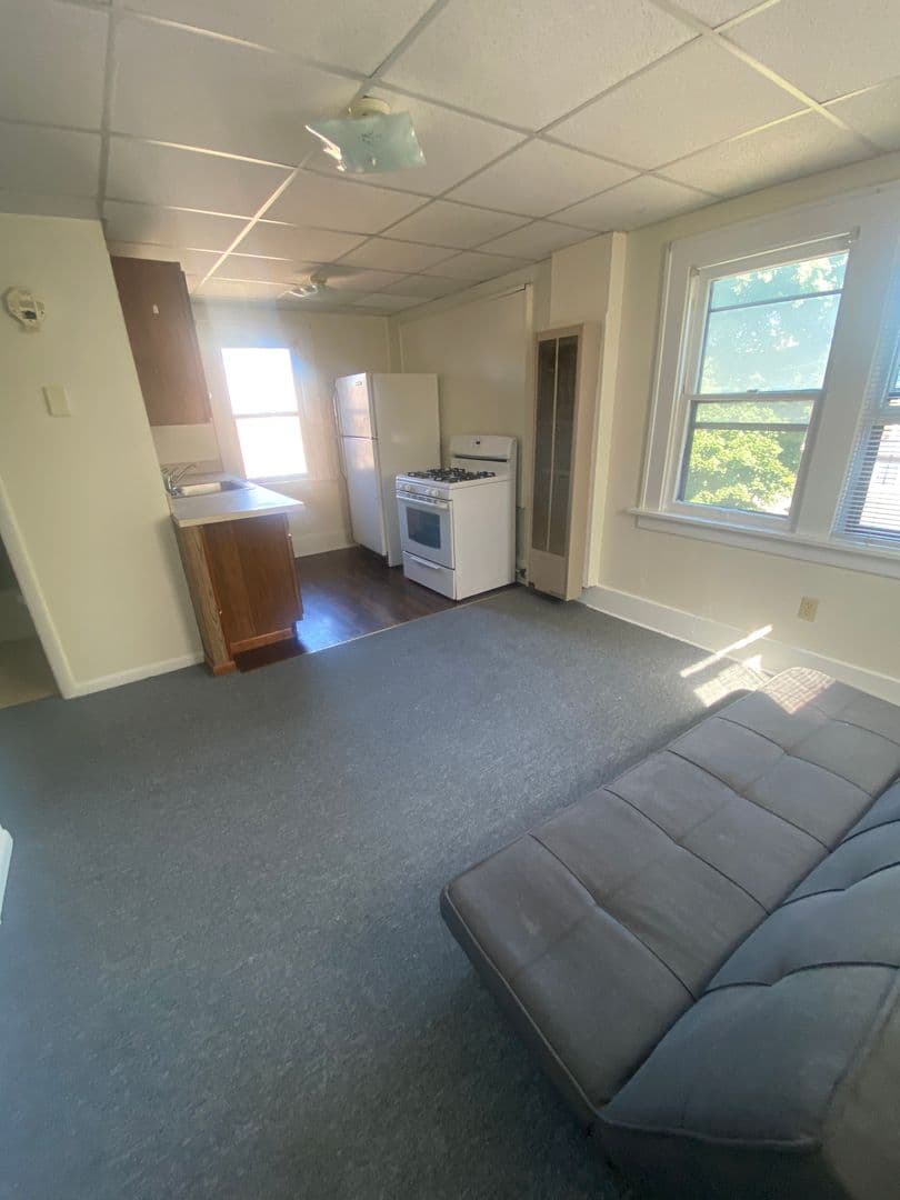 Erie Apartment: 230 West 8th Street