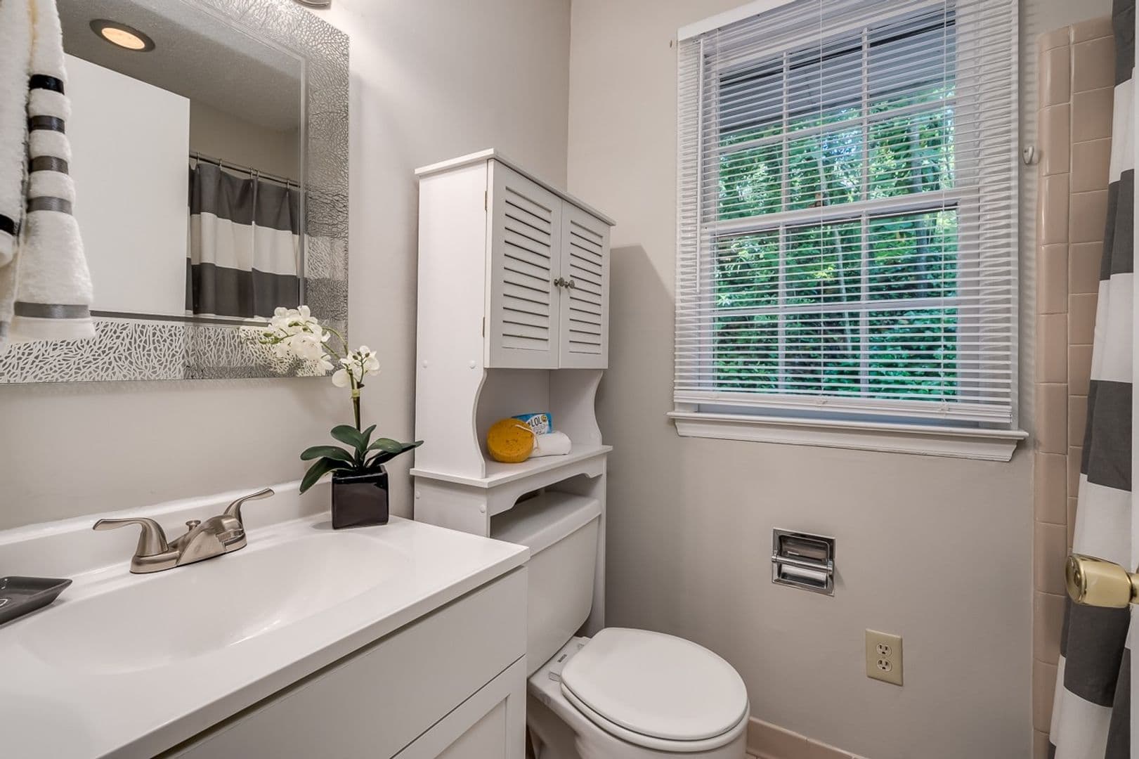Raleigh Apartment: 1417 Onslow Rd.
