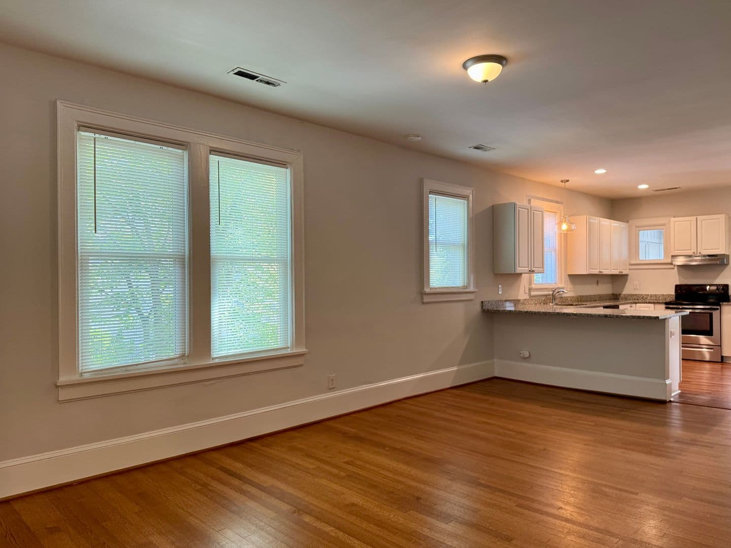 Raleigh Apartment: 905 W Peace St.