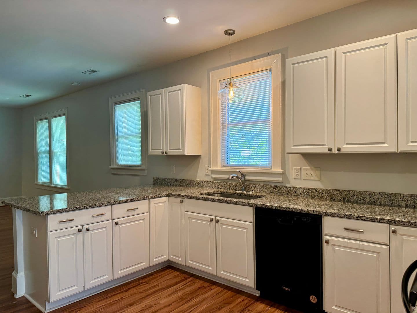 Raleigh Apartment: 905 W Peace St.
