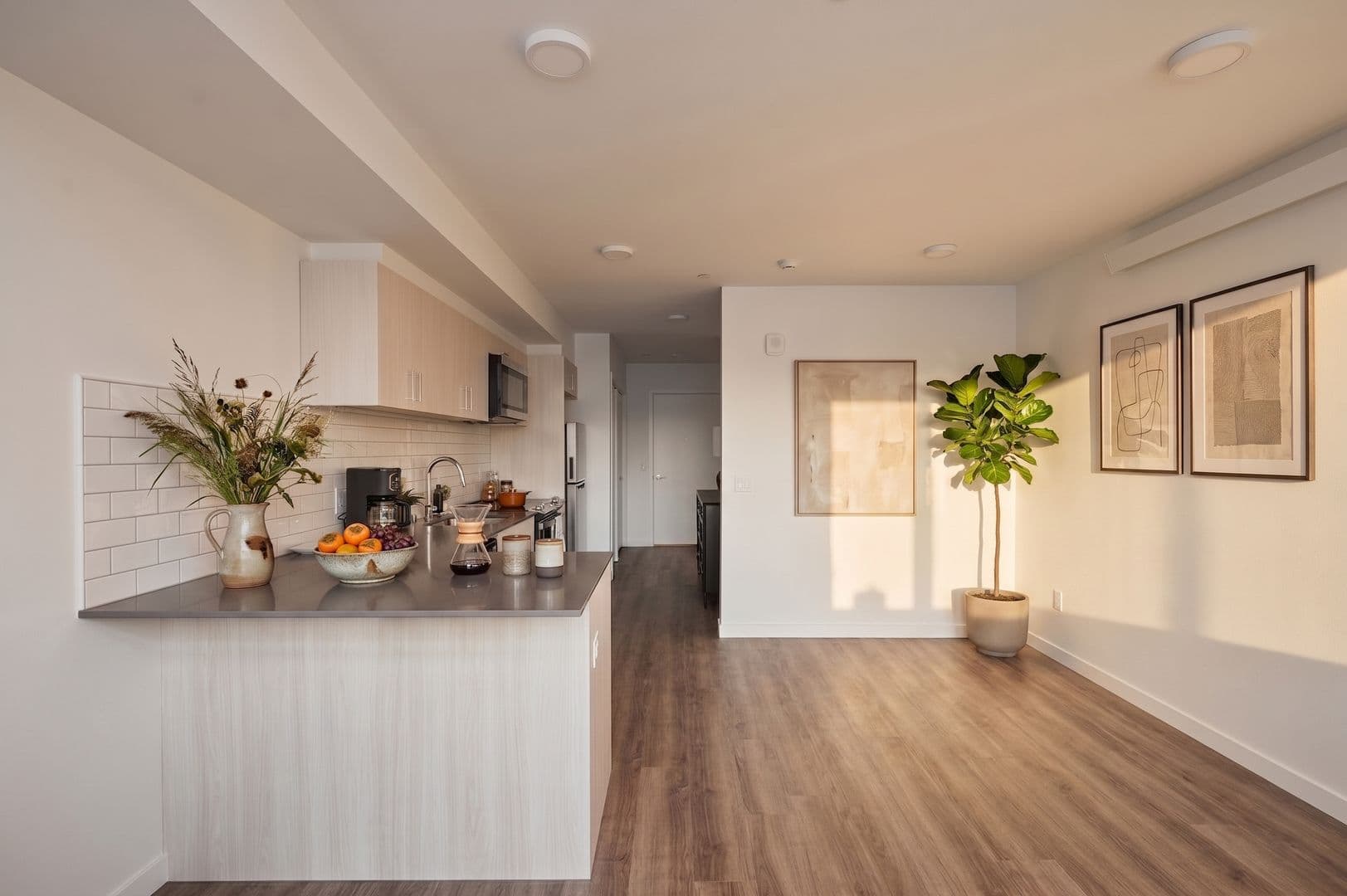 Seattle Apartment: 514 Federal Ave E