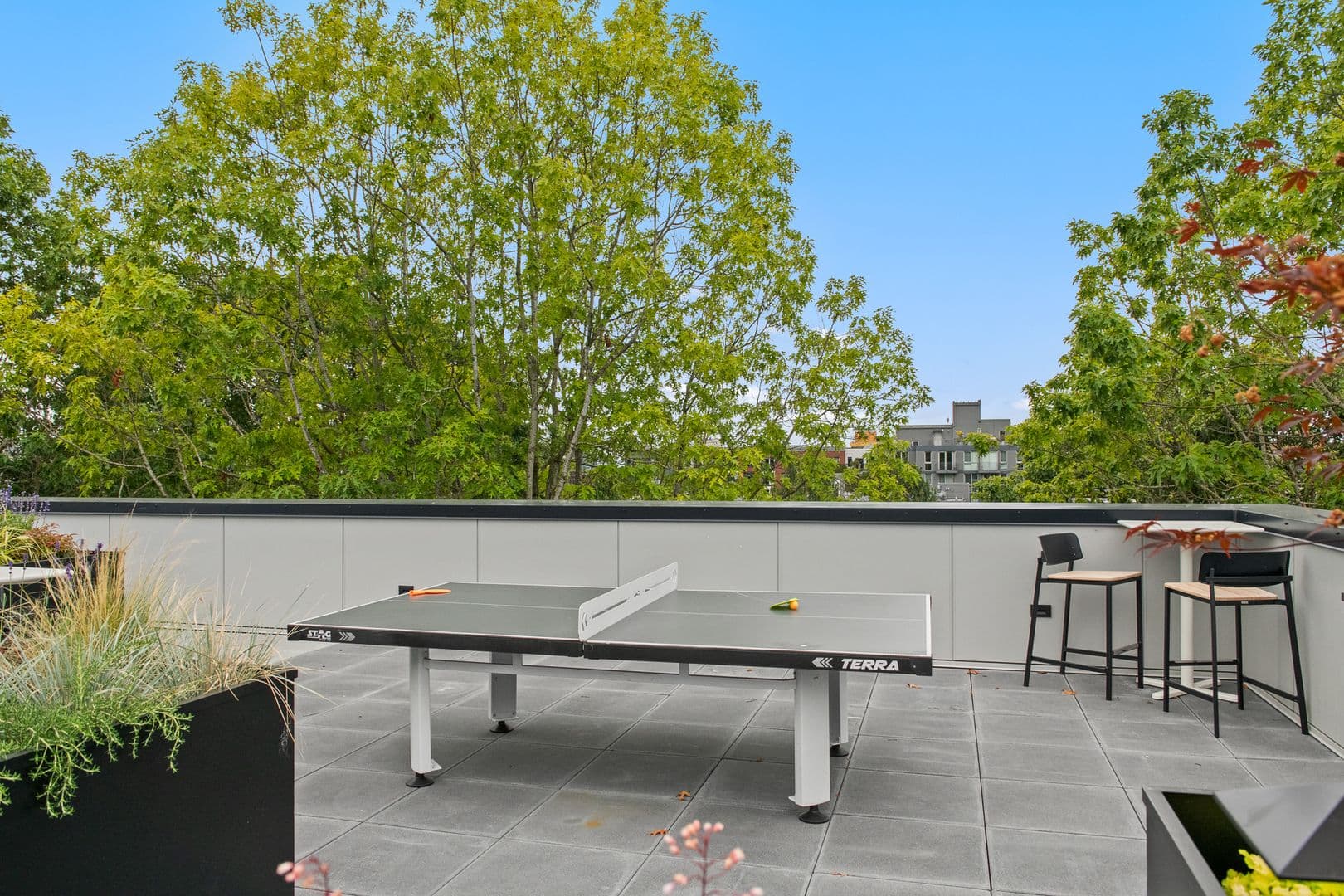 Seattle Apartment: 514 Federal Ave E