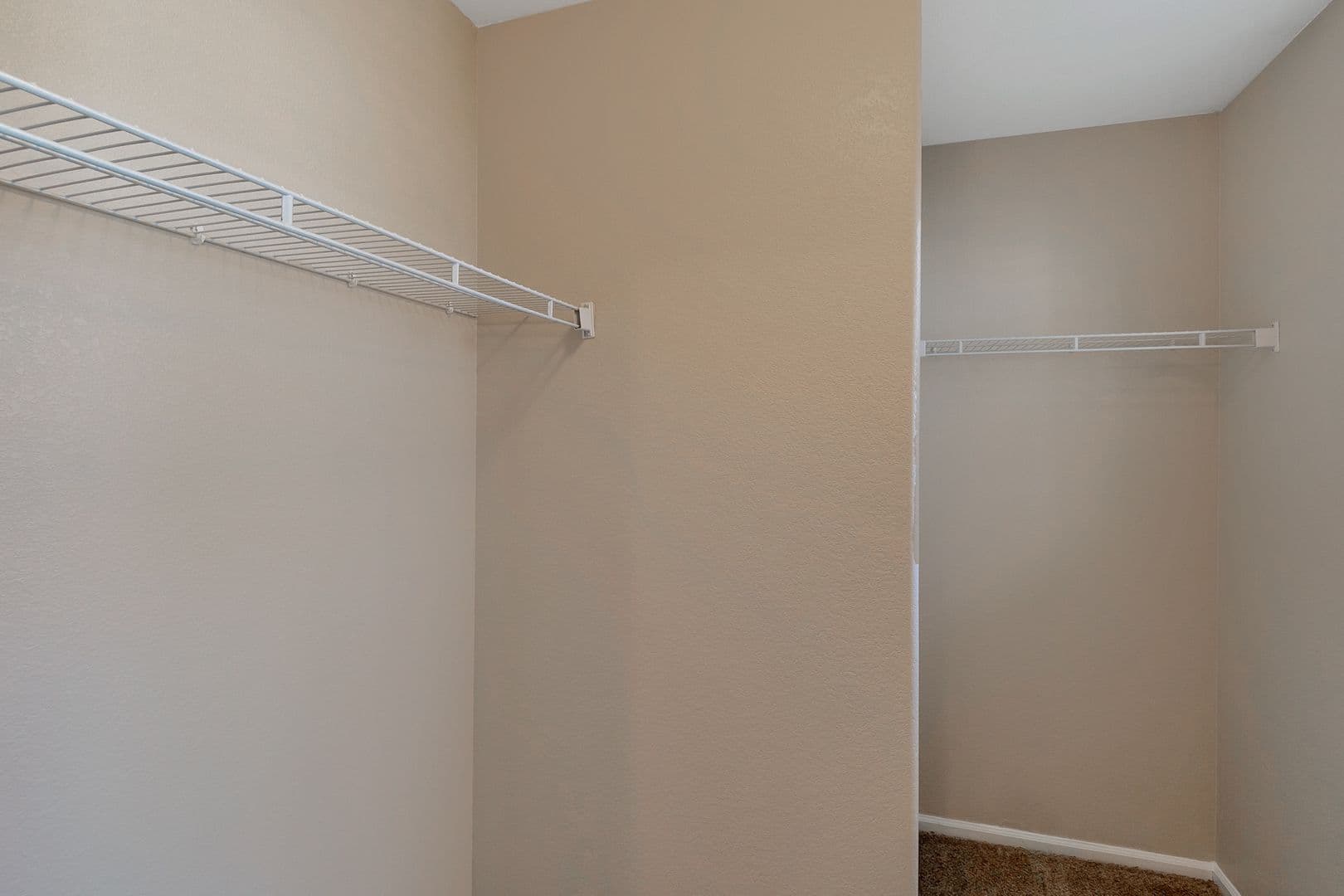Denver Townhome: 19209 E 58th Ave #B