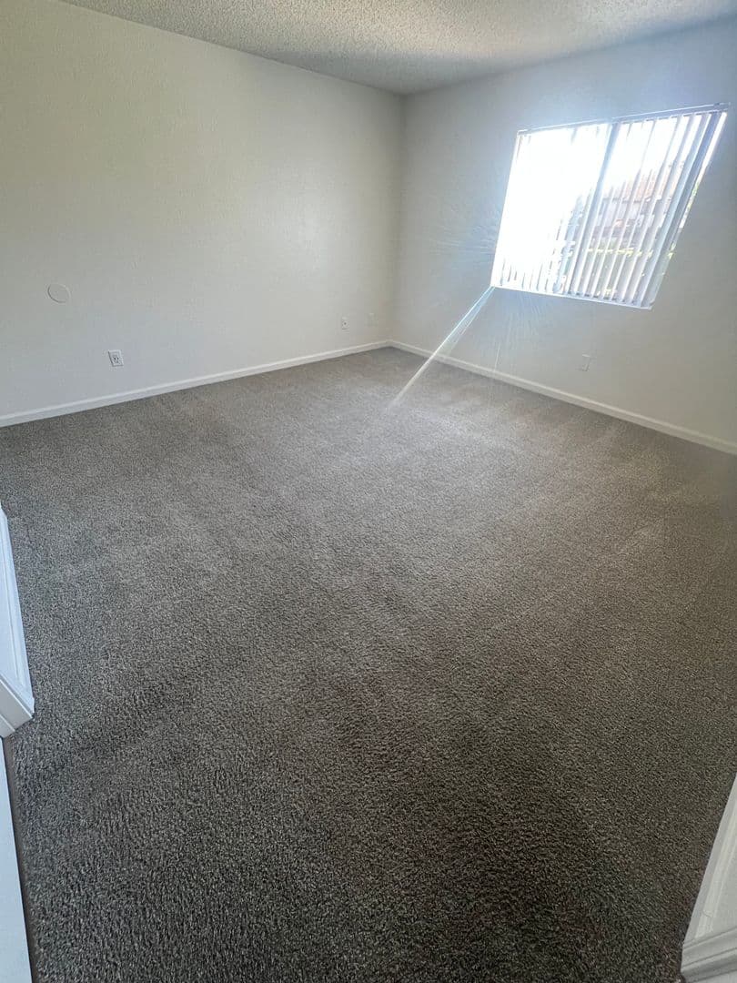 Vista Apartment: 920 Sycamore Ave