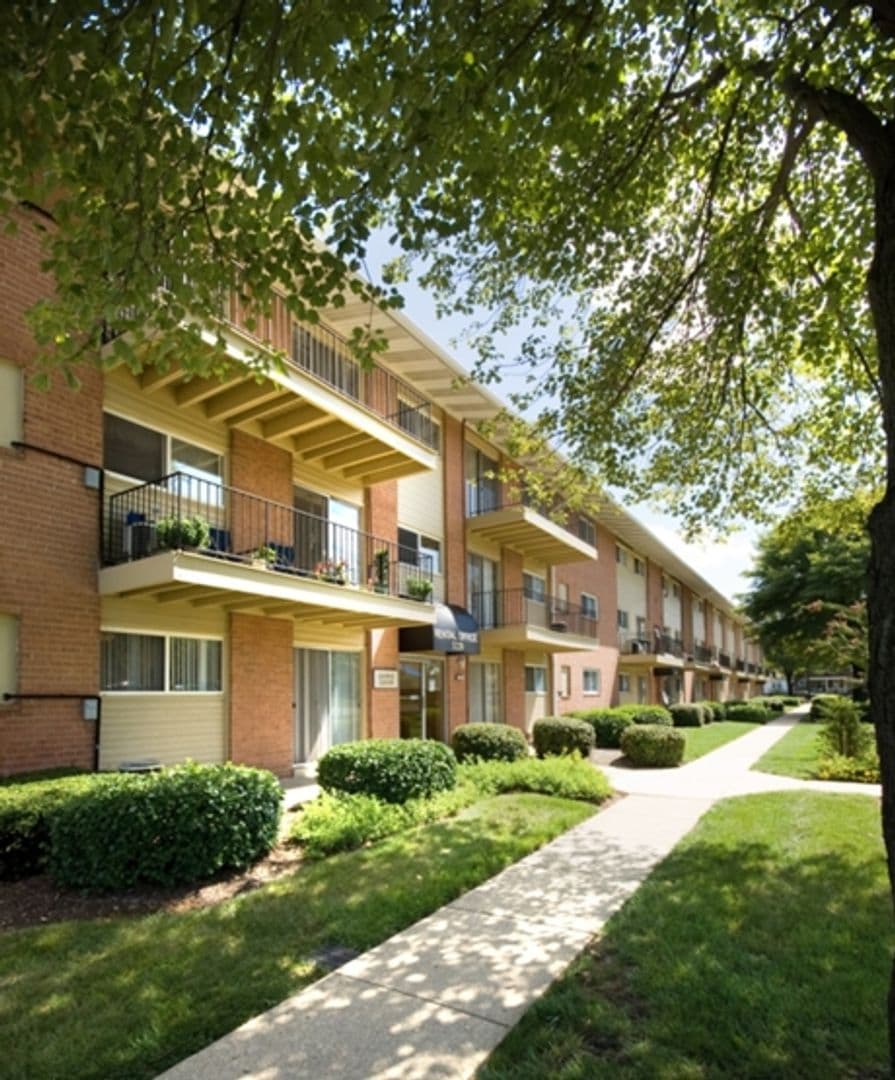 Suitland Apartment: 3220 Swann Rd