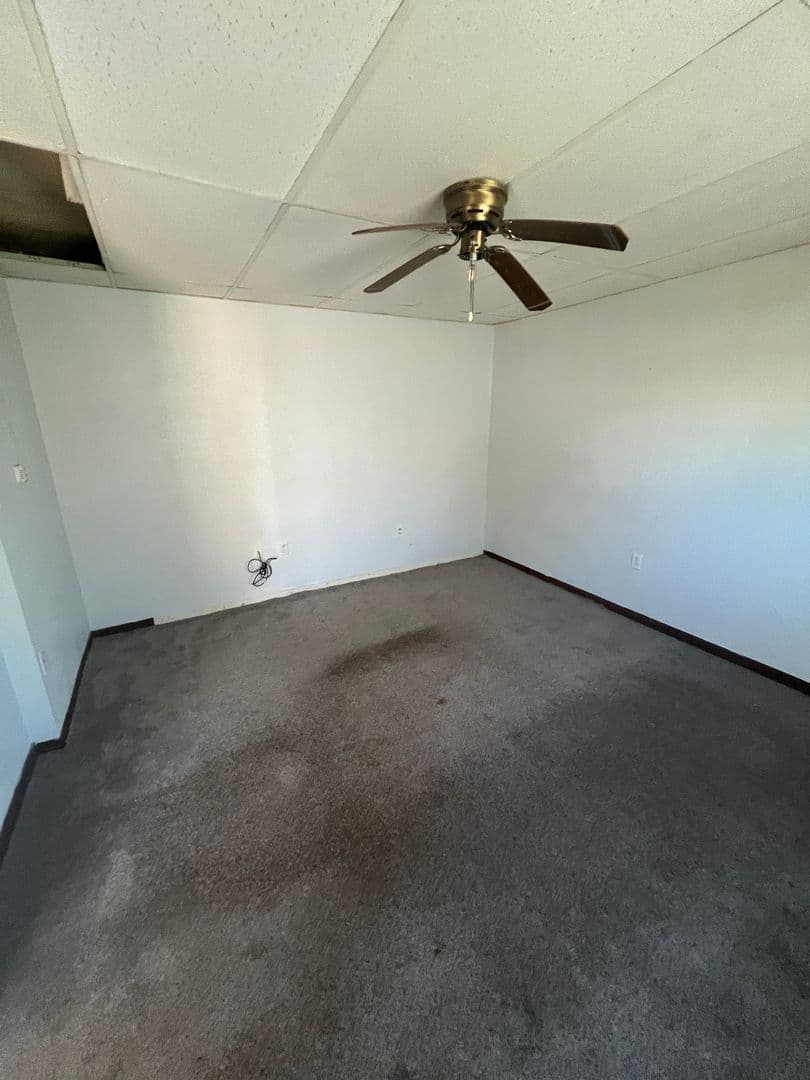 Spencer Apartment: 305 E Maple St