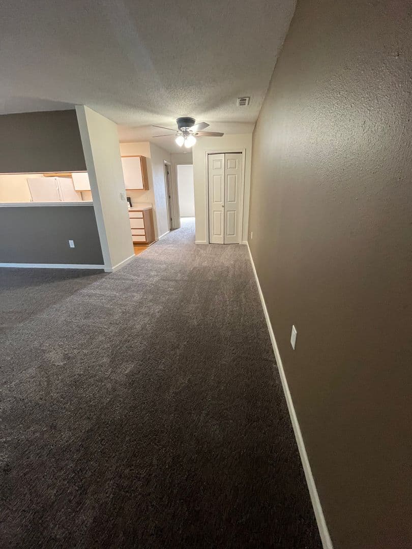 Lincoln Apartment: 3811 Baldwin Ave.