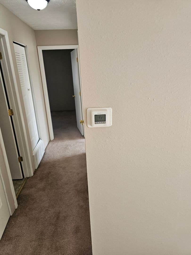 Bellevue Apartment: 910 Ginny Avenue