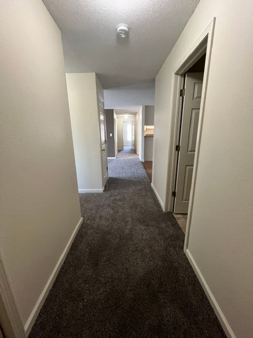 Lincoln Apartment: 3811 Baldwin Ave.