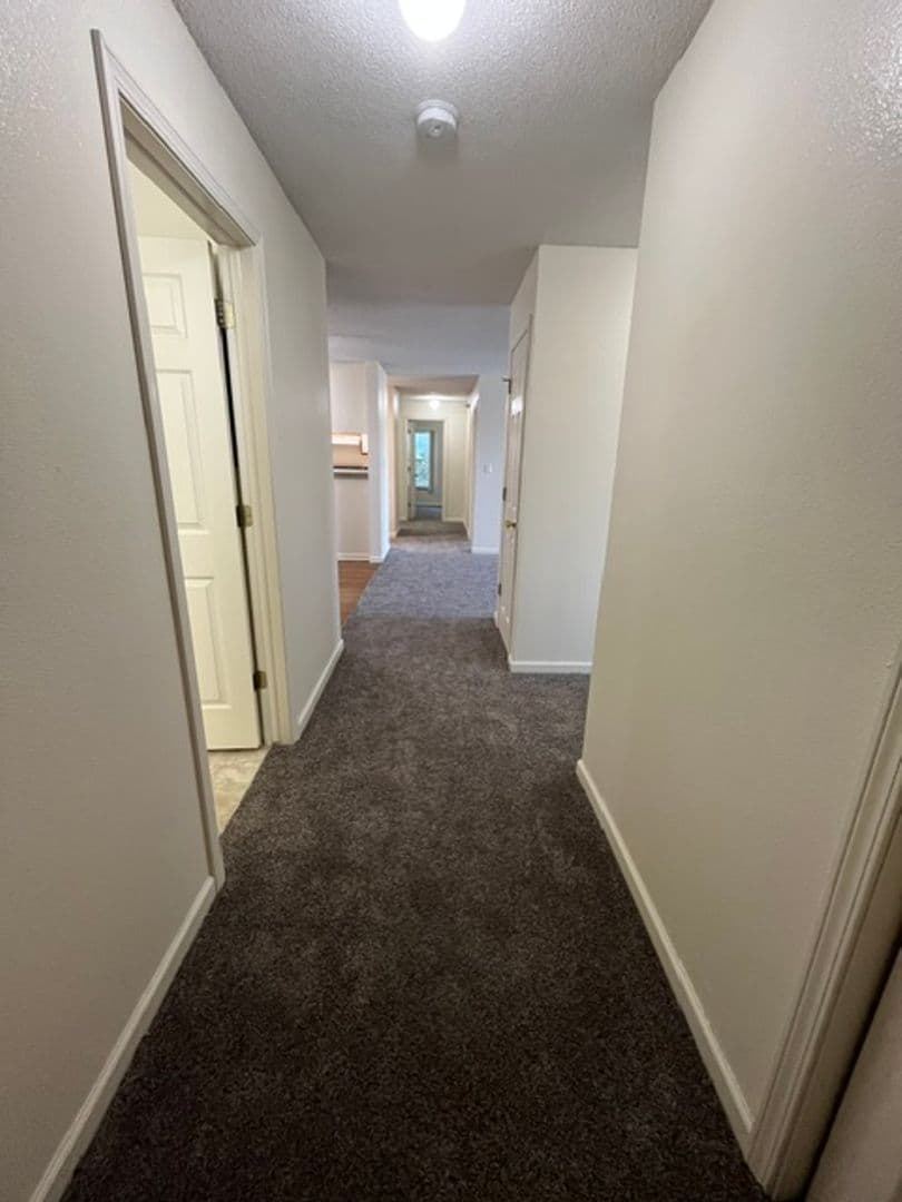 Lincoln Apartment: 3811 Baldwin Ave.