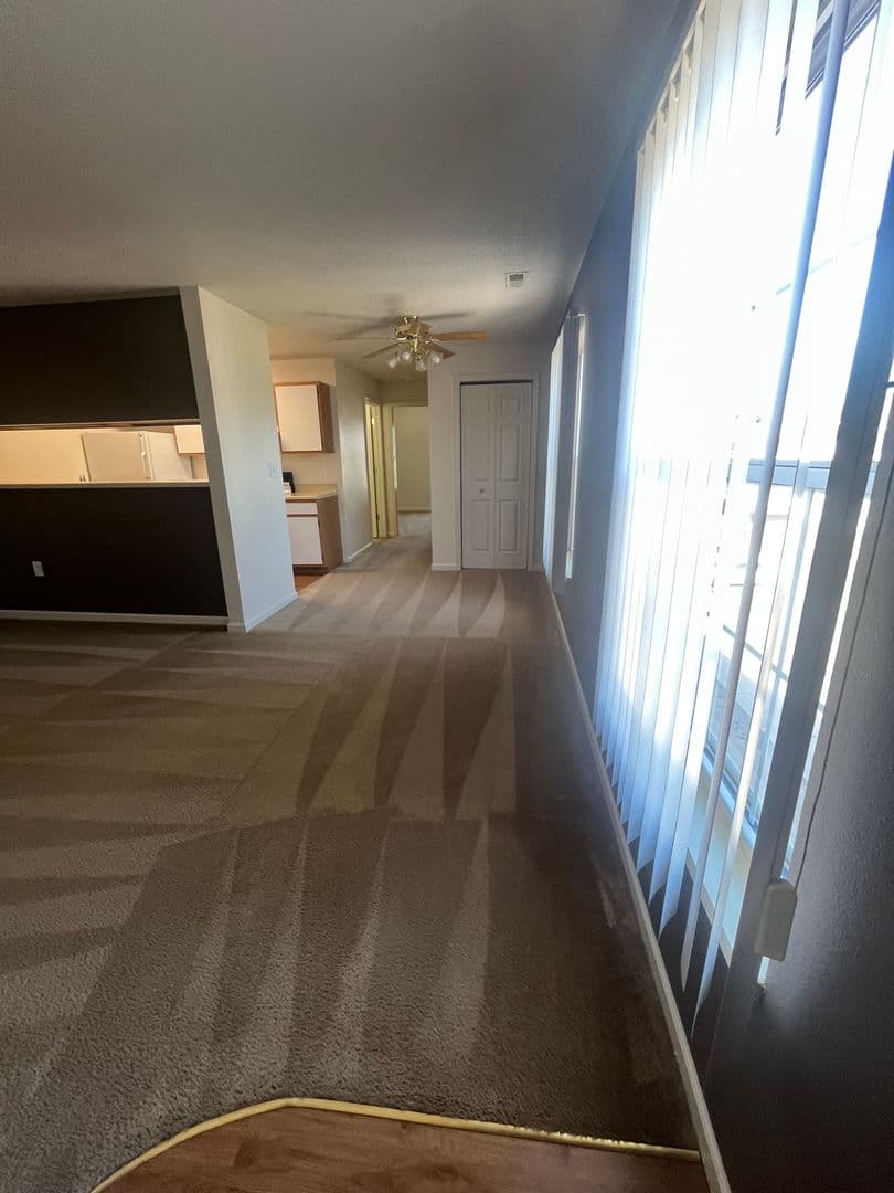 Lincoln Apartment: 3811 Baldwin Ave.