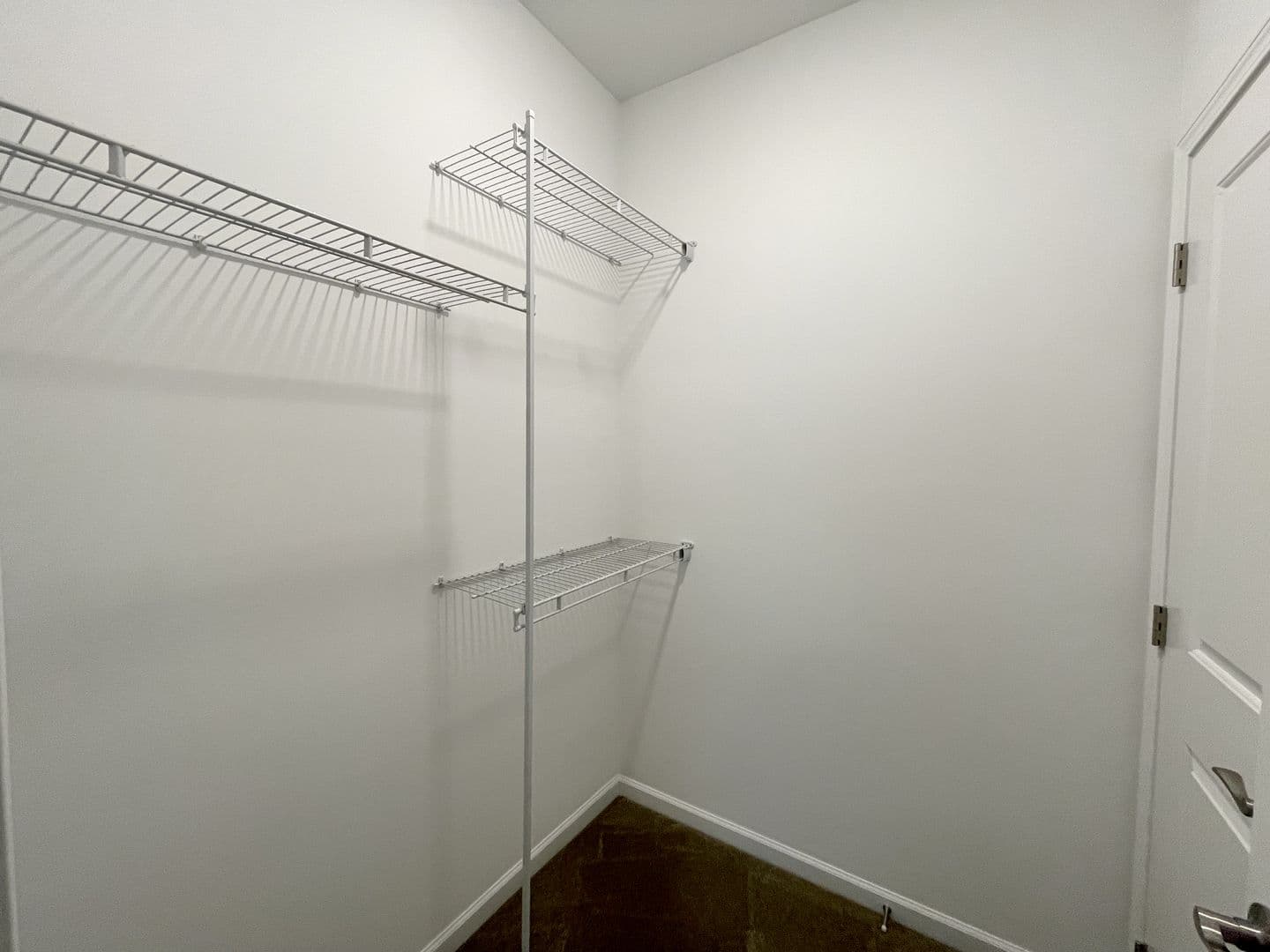 Williamsville Apartment: 195-205 South Union Road